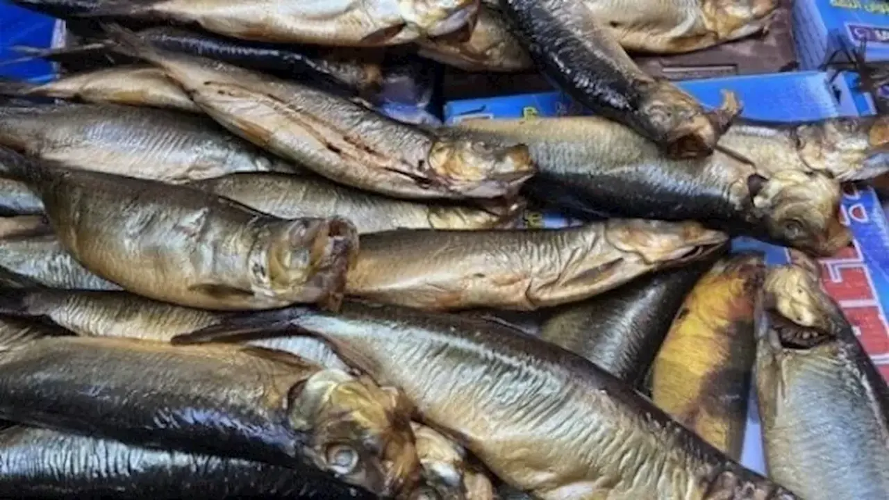 شعبة الأسماك ترصد زيادة بنسبة 50% في إقبال المواطنين على الفسيخ والرنجة